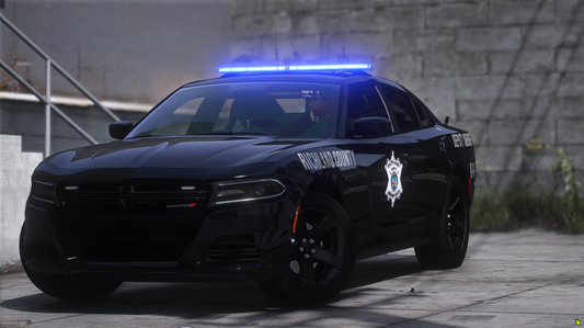 2020 RCSD Charger