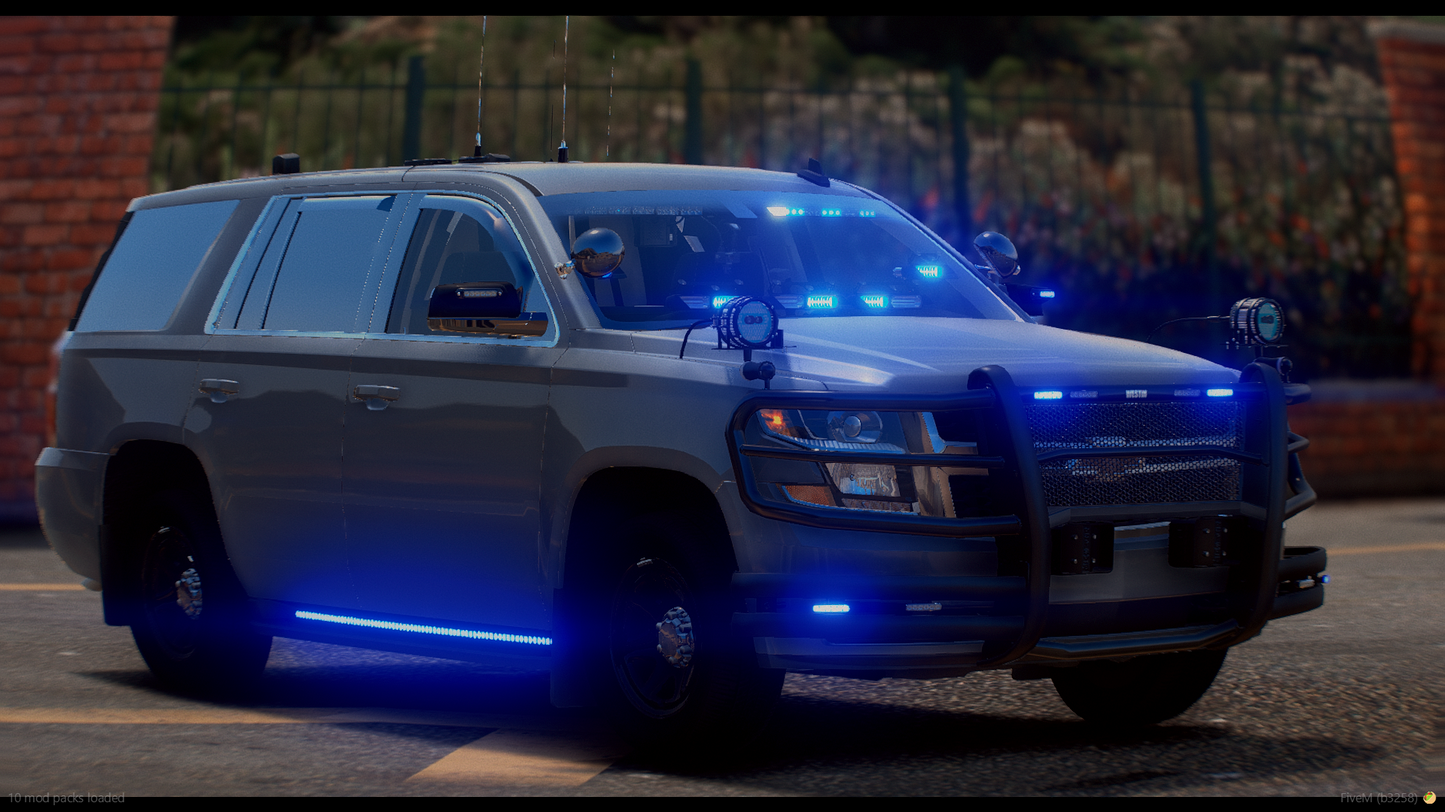 XMas Tree 2020 Tahoe