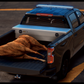 [NON-ELS] Department of Natural Resources Pack