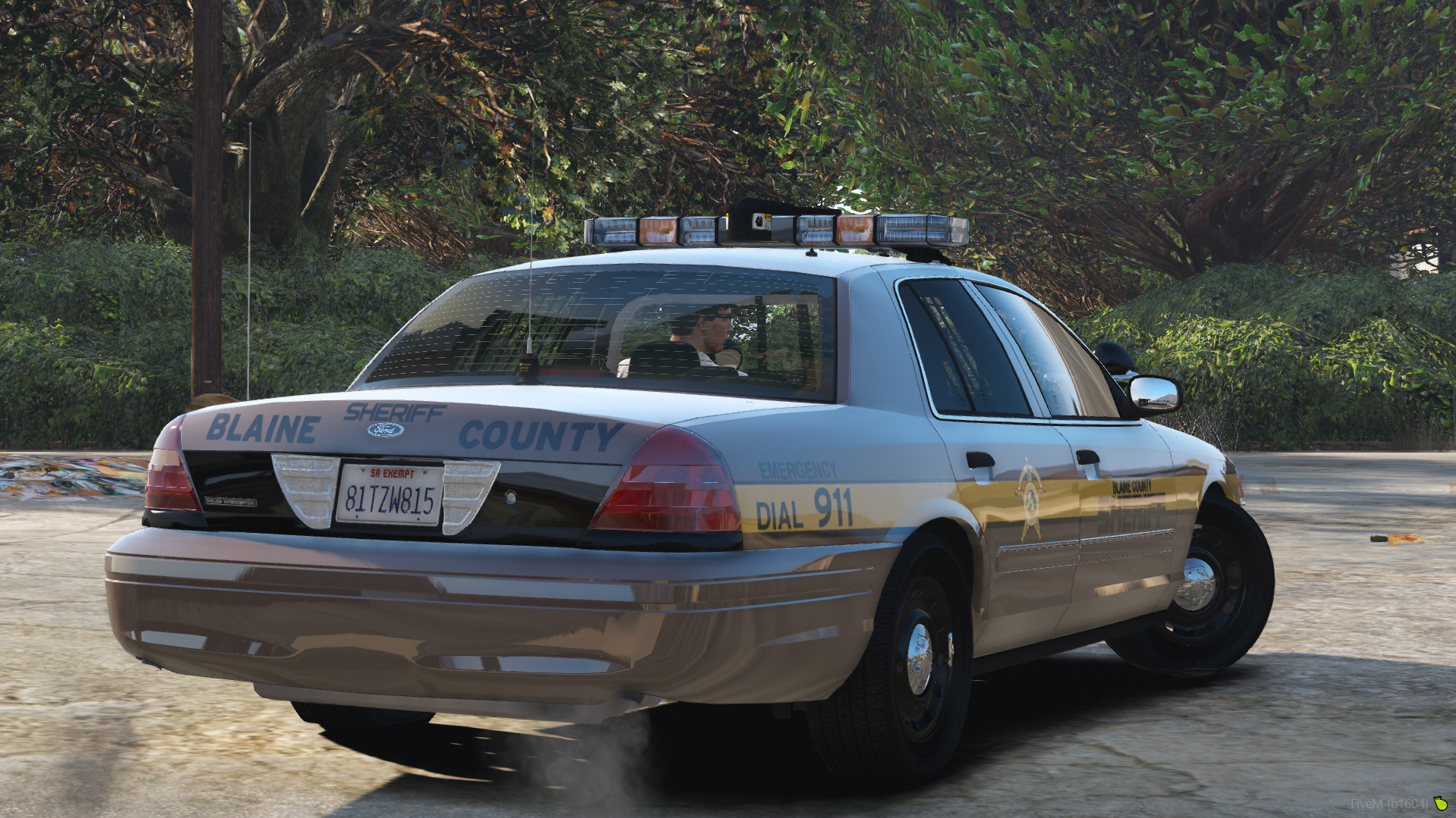 A NON-ELS Crown Victoria police car with retro graphics