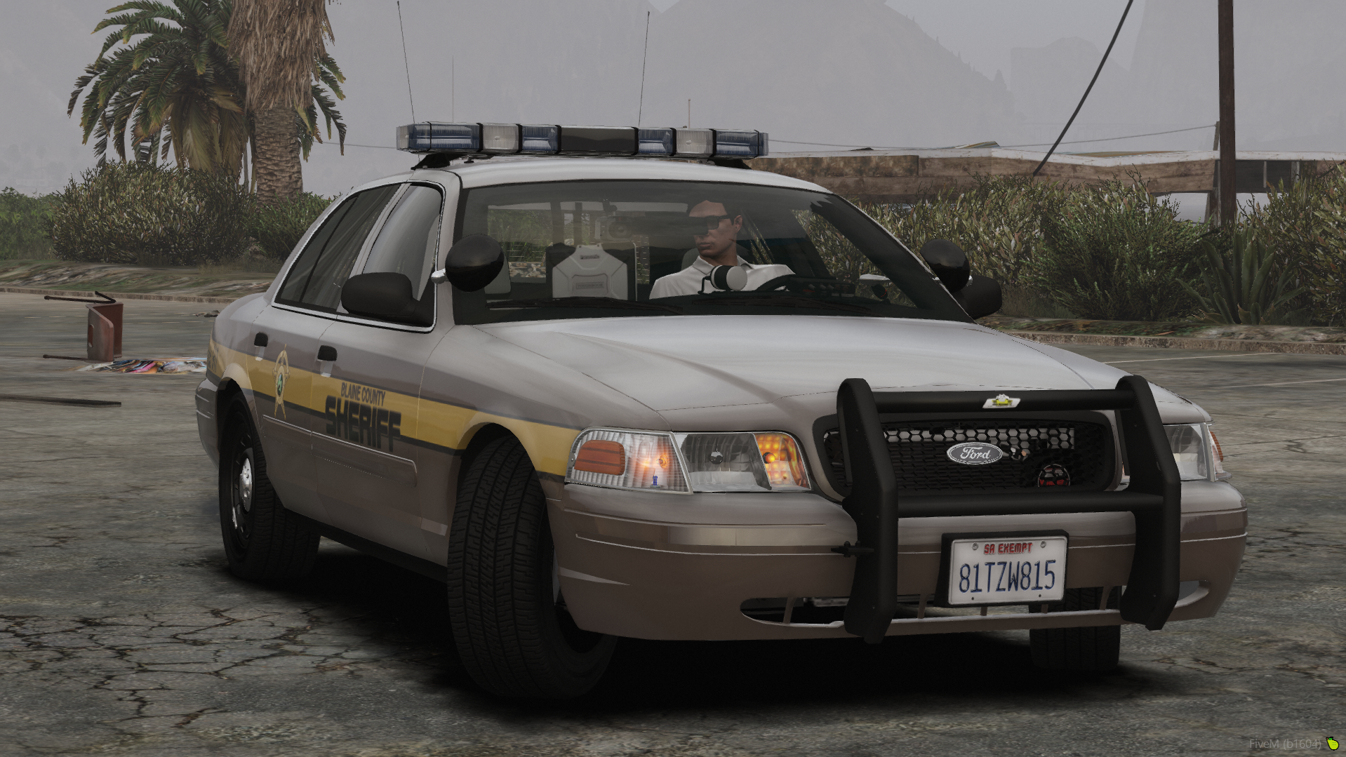 A NON-ELS Crown Victoria police car with retro graphics