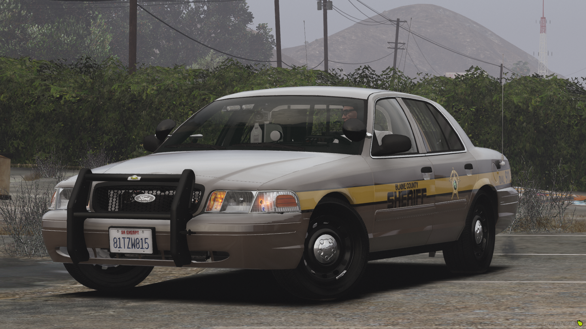 A NON-ELS Crown Victoria police car with retro graphics